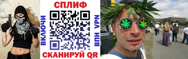 Каннабис гибрид  Бакал 